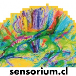 INICIO Sensorium.cl